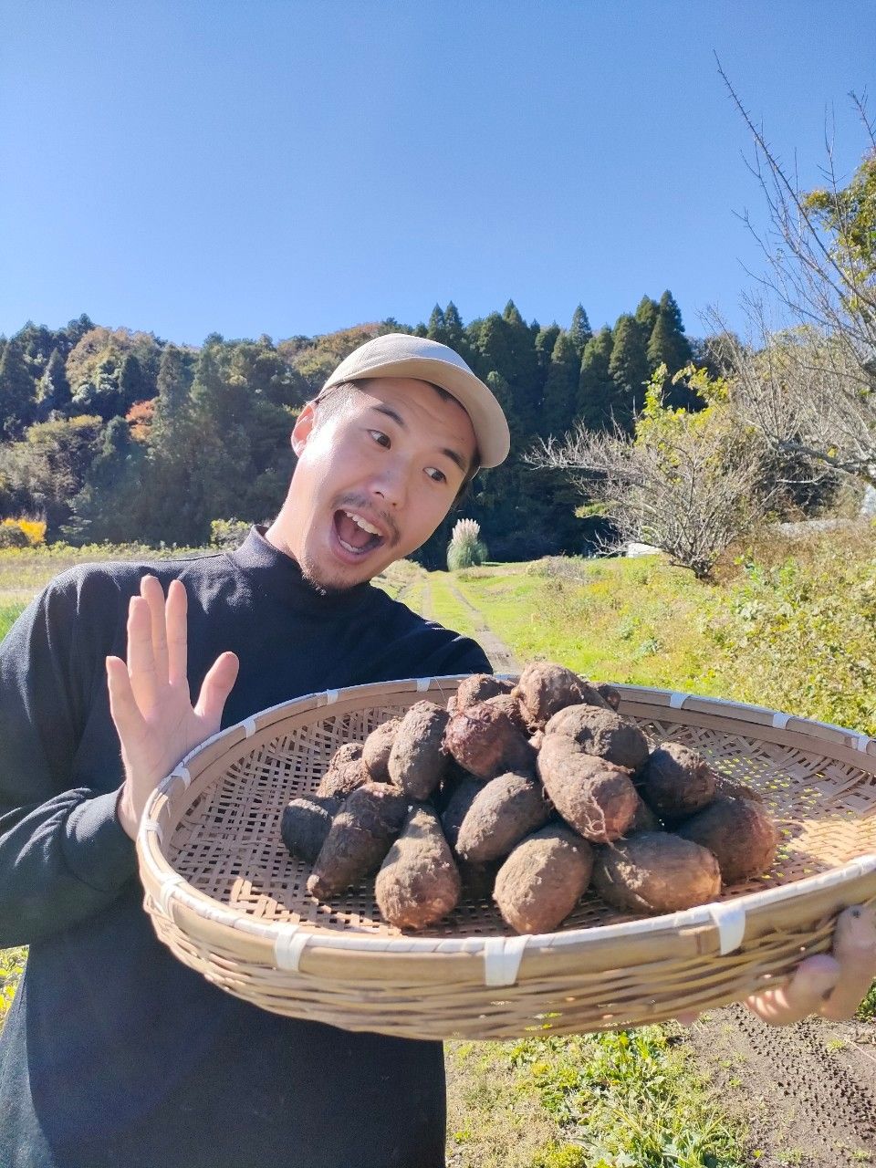 季のまま 季節の野菜セット