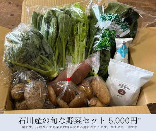 石川県産 オーガニック5000円セット(税別)
