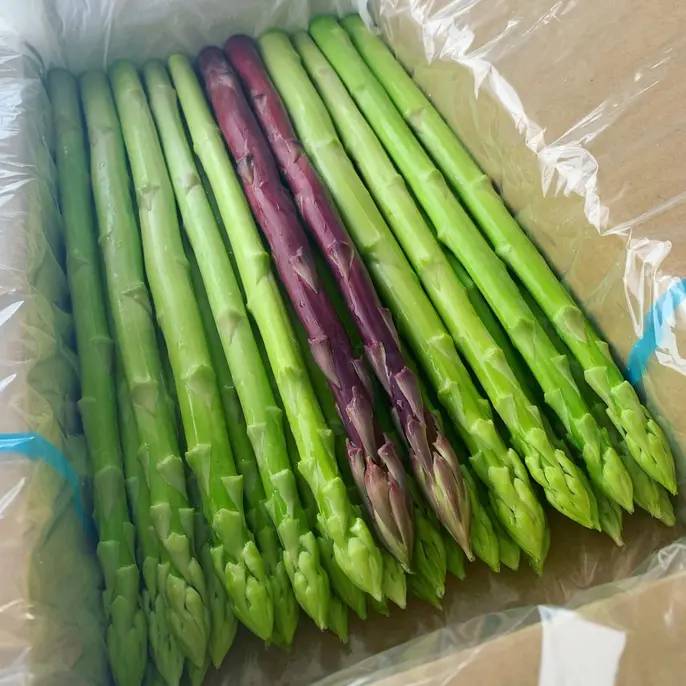 アスパラ王子の【L】1kg さぬきのめざめ