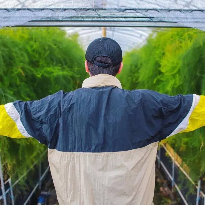 アスパラ王子の【L】1kg さぬきのめざめ