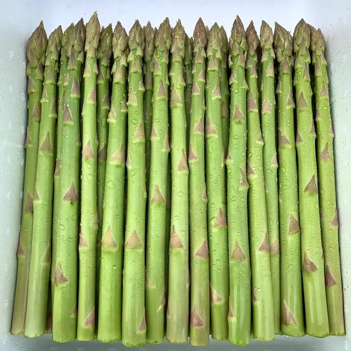 アスパラ王子の【L】1kg さぬきのめざめ
