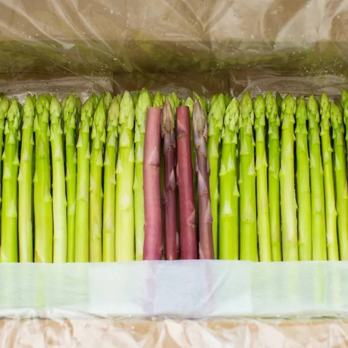 アスパラ王子の【穂だけ】1kg 穂先さぬきのめざめ