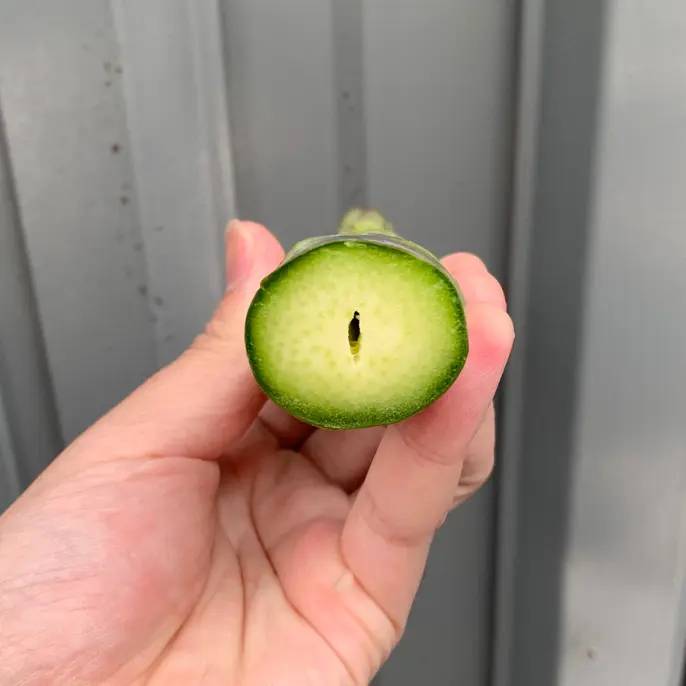 さぬきのめざめ1kg (L-3L混合入り) アスパラヒーロー