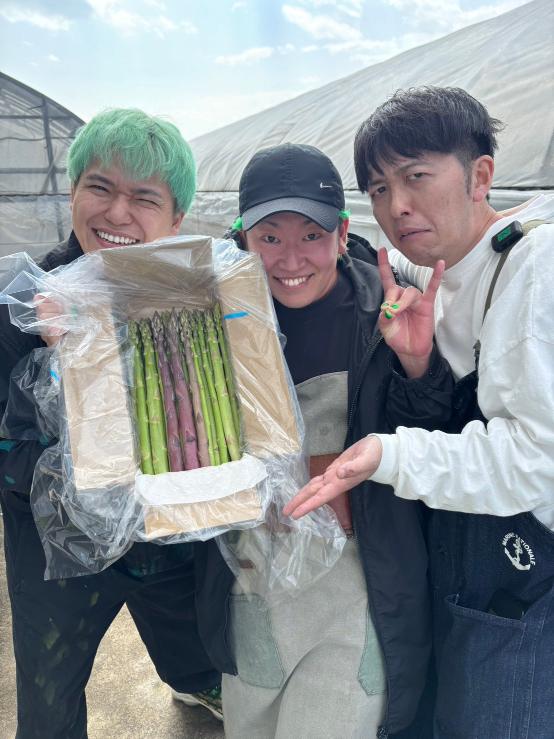 アスパラ王子の【L】1kg さぬきのめざめ