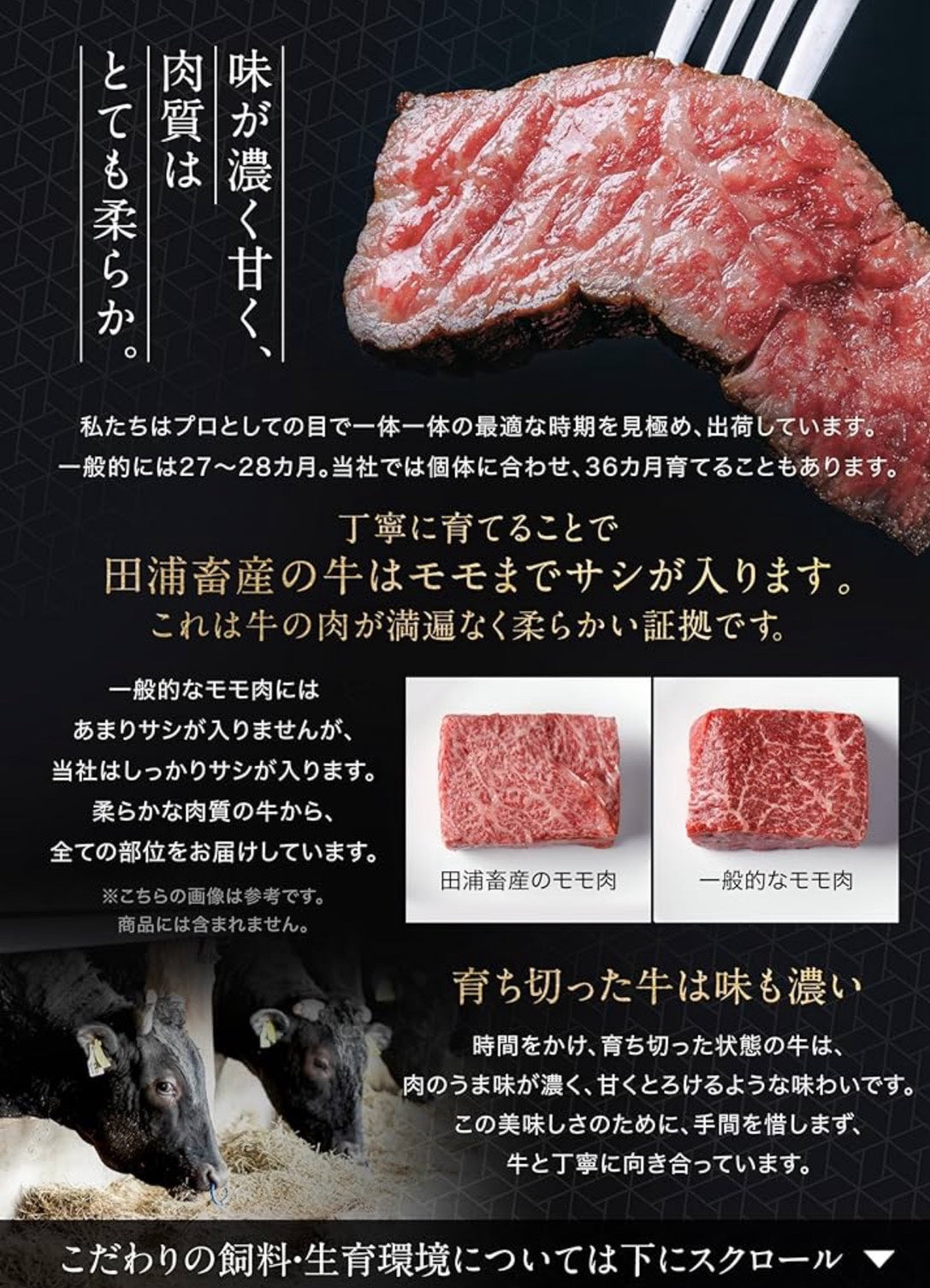 【12月24日以降の発送】田浦畜産　豪華しゃぶしゃぶセット（800g）