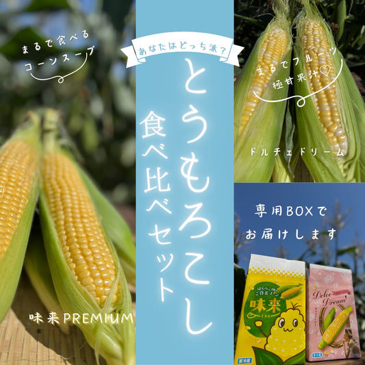 プレミアム味来VSドルチェドリーム 6本入り