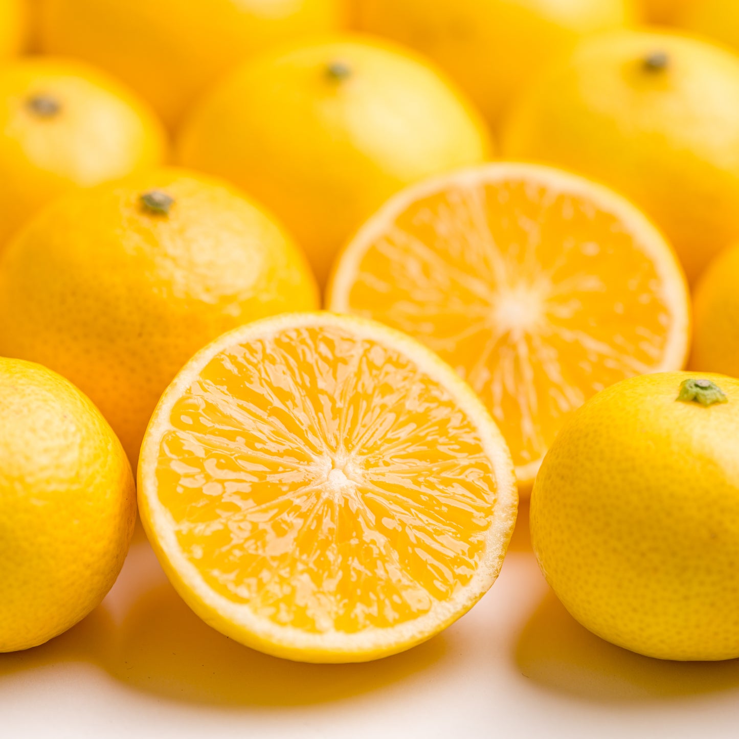 🍊 榎本農園 湘南ゴールド（神奈川県）